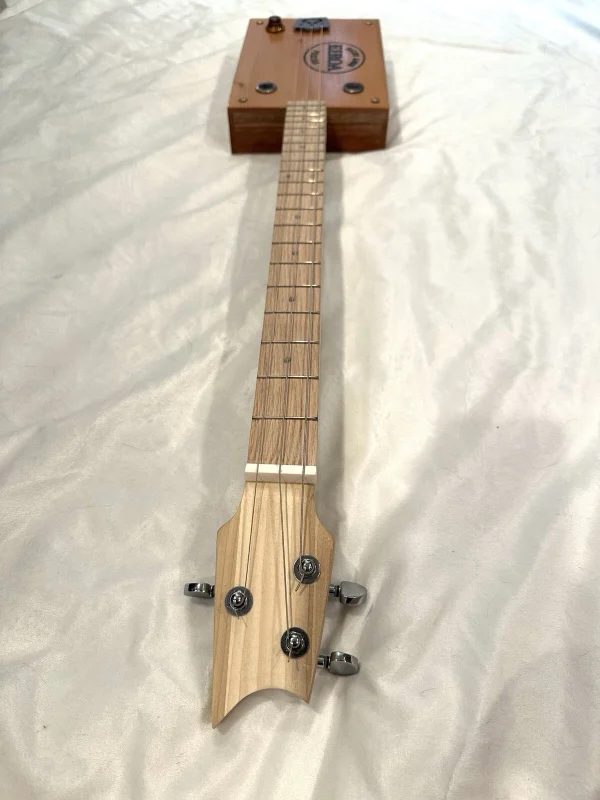 3-String Salud Amor Eiroa Guitar - Image 4