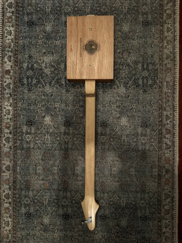 1-String Illusione Maduro Guitar - Image 3